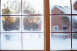 Frost on window - photo by jill111 on Pixabay